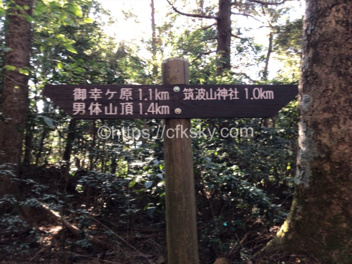 筑波山の登山道にある野鳥の看板