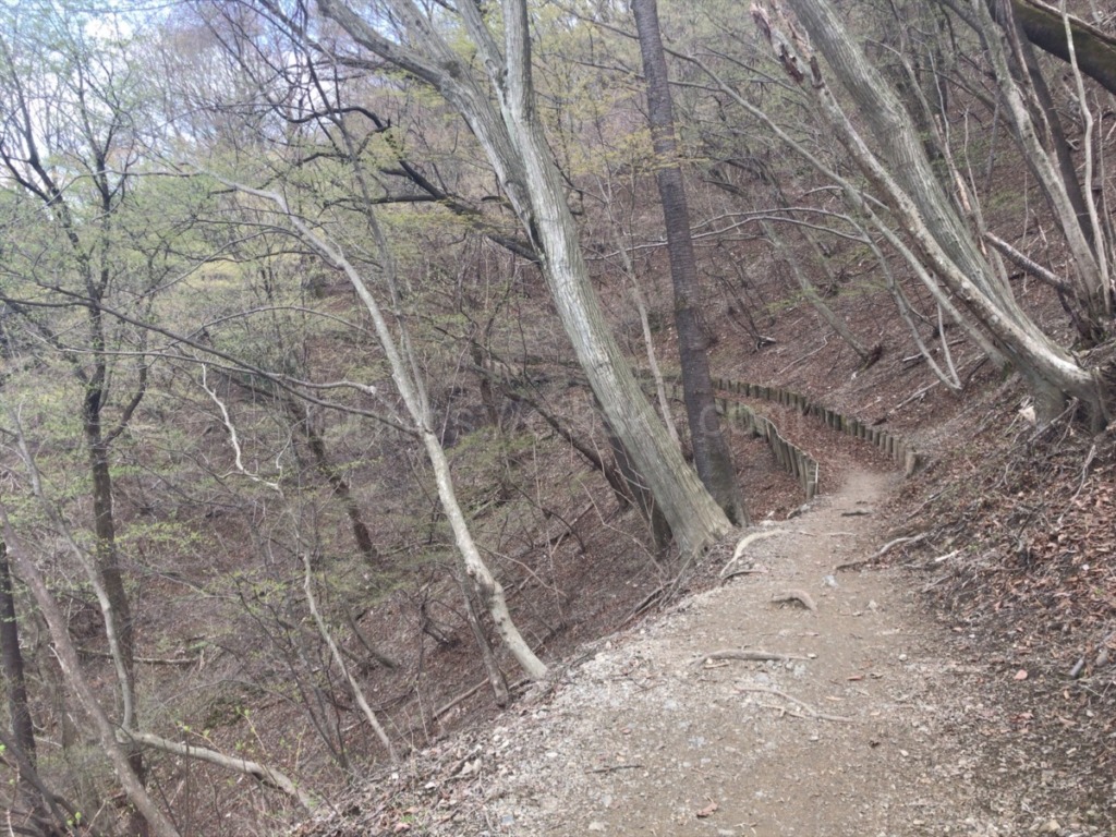 棒ノ折山・棒ノ嶺 登山の車道横にある休憩場所からの登山道