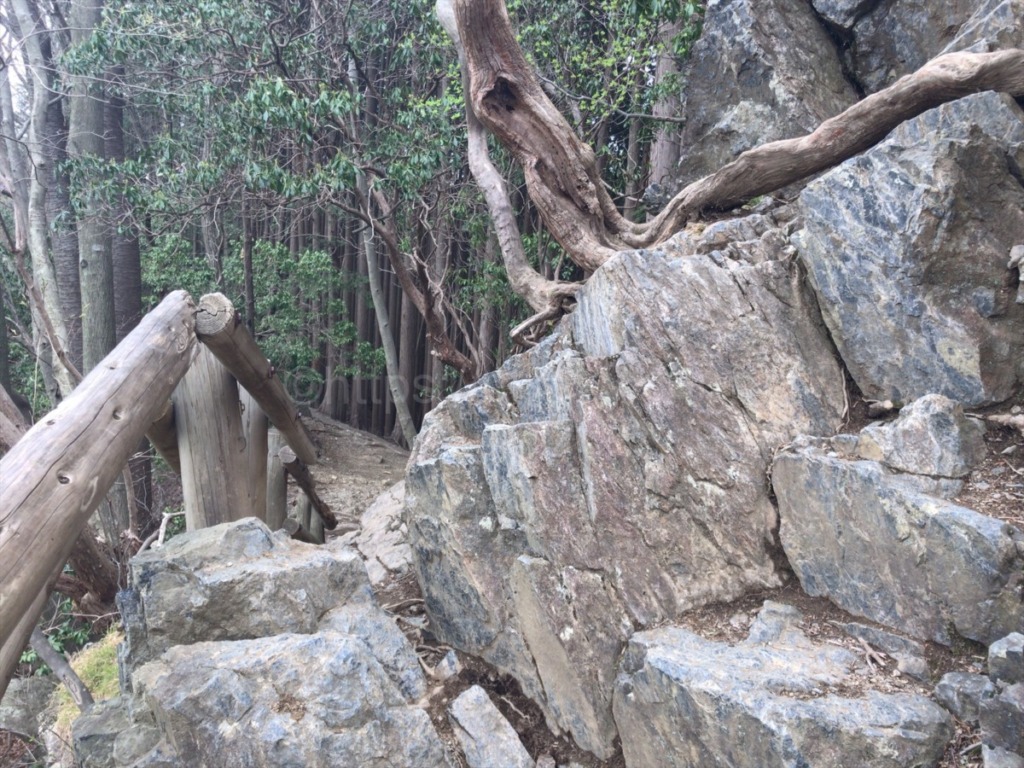 棒ノ折山登山の岩茸石を登る