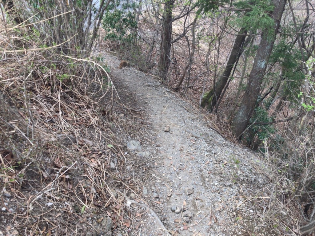 棒ノ折山登山道岩茸石からの下山コース